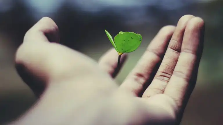 life insurance 5