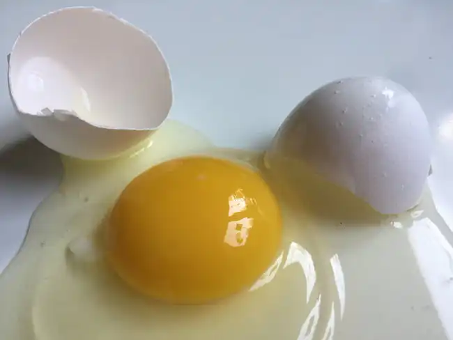 Eggins House Throwing Egg 1
